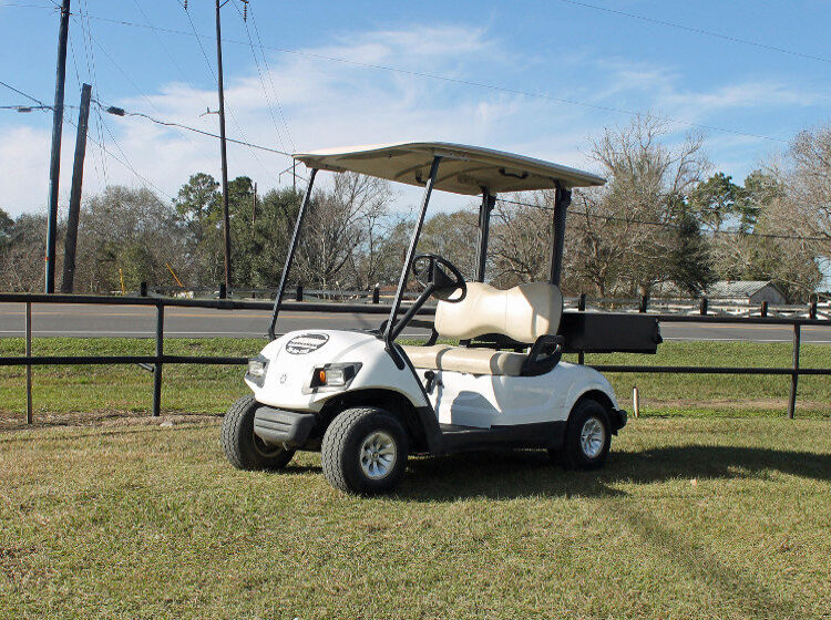 2 PASSENGER WITH UTILITY BED